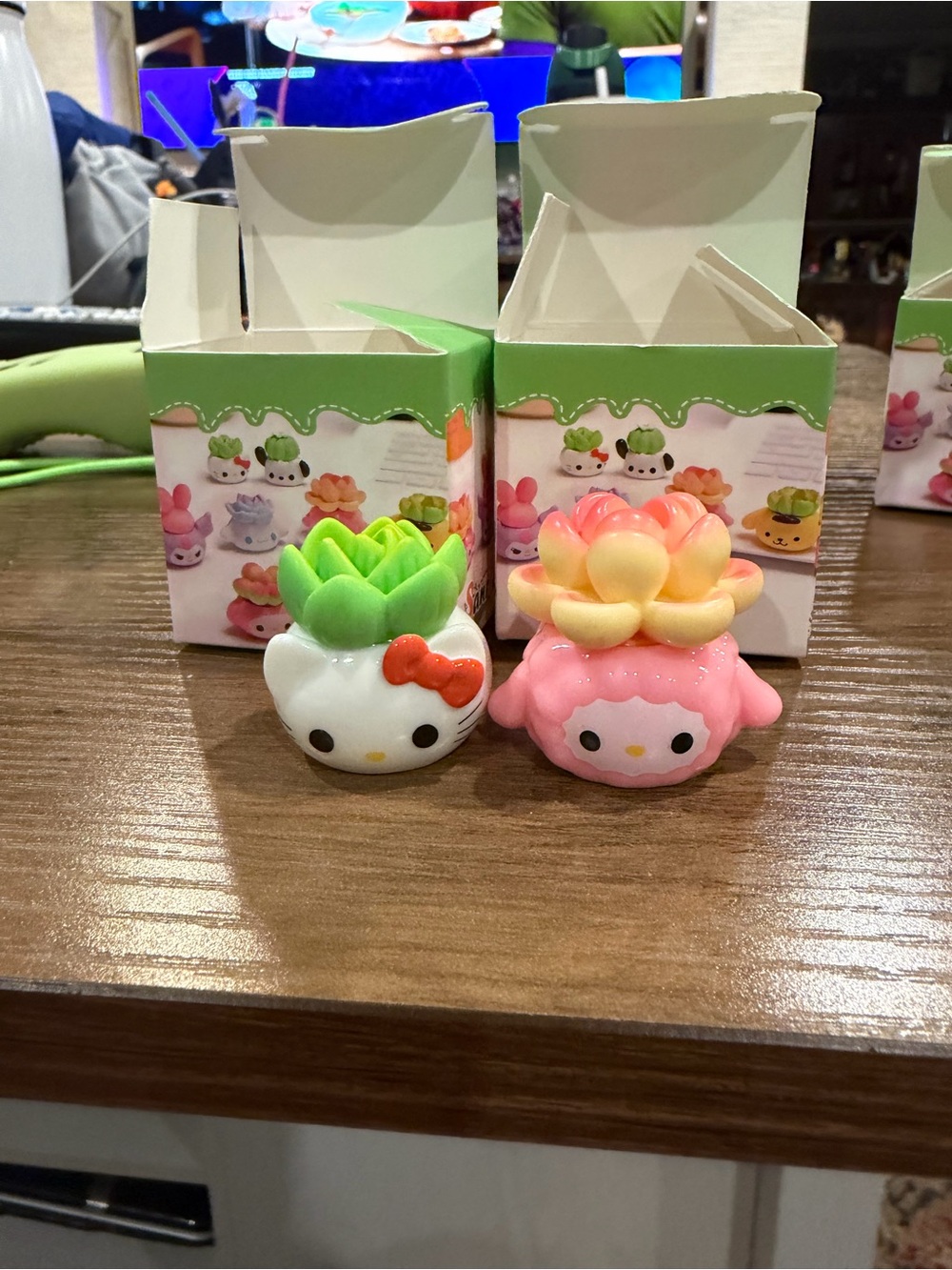Hello Kitty & My Melody mini Succulent figure lot